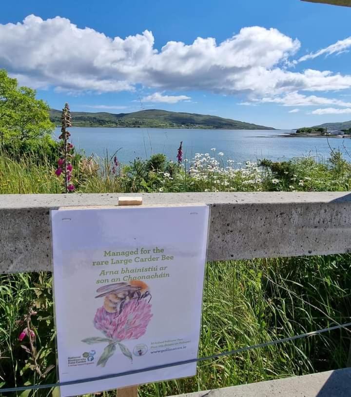 Апартаменты Escape To The Beara Peninsula. Каслтаунбер Экстерьер фото